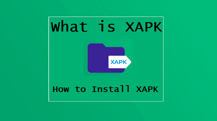 What is XAPK